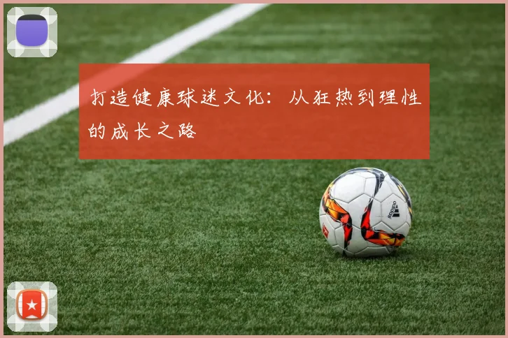 打造健康球迷文化：从狂热到理性的成长之路
